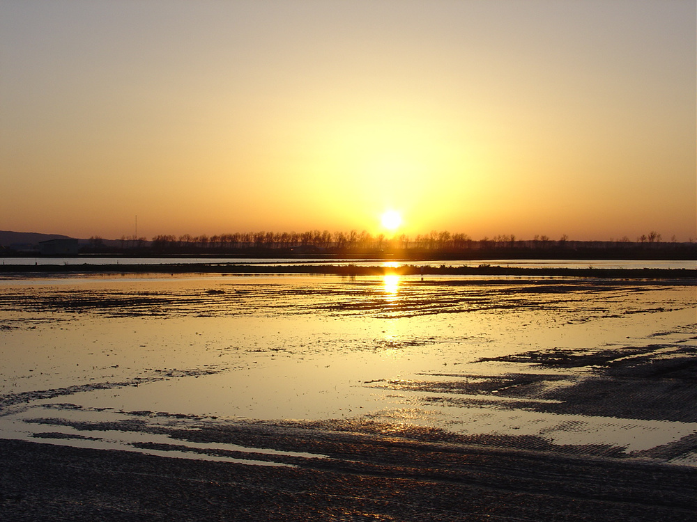 dsc03346.jpg
